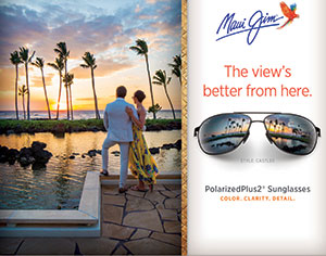 The True Bible Code Home