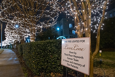 LoveLine Tree Lighting 2020