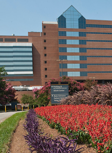 Interventional Radiology Reynolds Tower Wake Forest Baptist Health