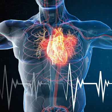 Cardiovascular Medicine Fellowship Program