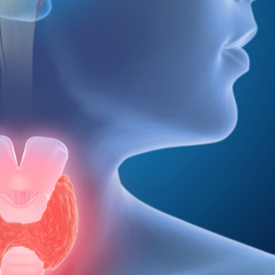 Endocrinology and Metabolism Fellowship Program